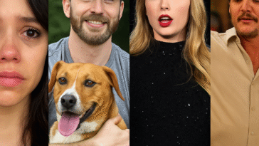 Celebrities Who Went Viral 2025: Internet's Most Iconic Moments
