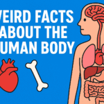 The human body is one of the most complex creations in existence. It functions like a perfectly designed machine — yet it hides countless mysteries. From bones that are stronger than steel to the mind-boggling fact that your stomach gets a new lining every few days, the body has secrets that sound almost unbelievable. Today, we’ll explore some of the weird facts about the human body that will make you rethink how extraordinary we really are.