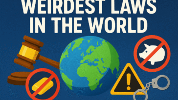 When we think of laws, we usually imagine rules that maintain order, justice, and fairness. But the world is a strange place—and so are some of the laws that exist within it. Across history and cultures, people have created rules that are not just unusual but downright bizarre. From banning chewing gum to making it illegal to own just one guinea pig, these laws reveal the quirks, fears, and cultural oddities of different nations. So fasten your seatbelt 🚗, because we’re about to take you on a fascinating ride through the weirdest laws in the world—ones that will make you laugh, scratch your head, and wonder: “Why on earth was this even necessary?”